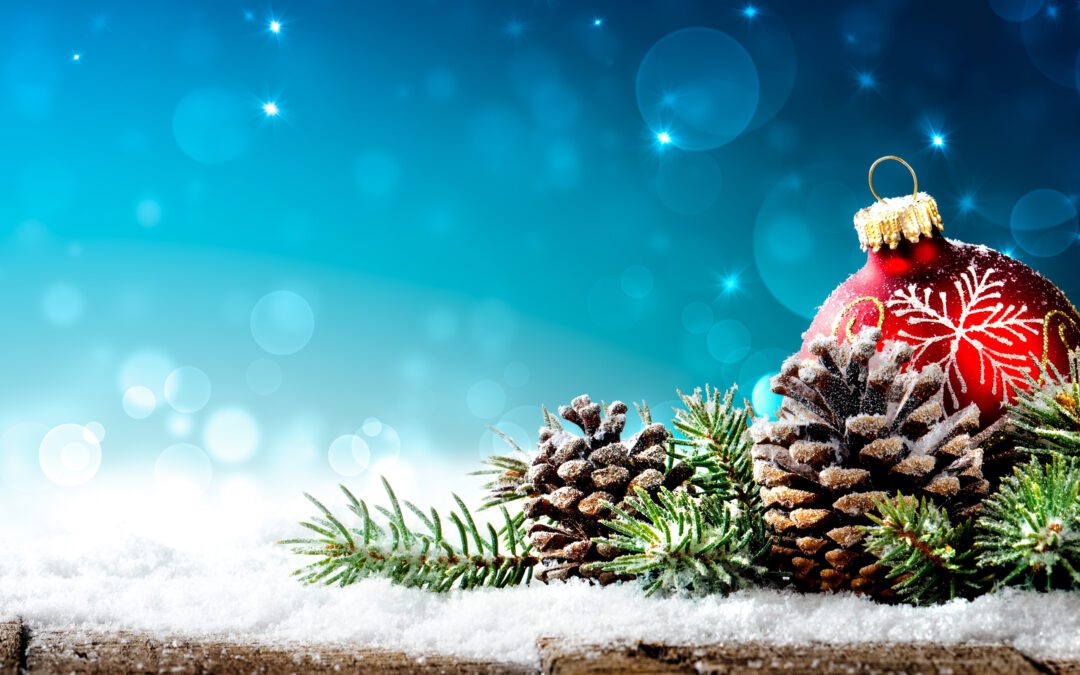 Holiday Shopping Trends 2021